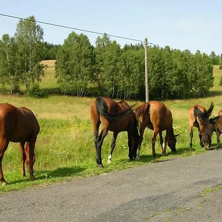 Domek Dzika Konwalia 2